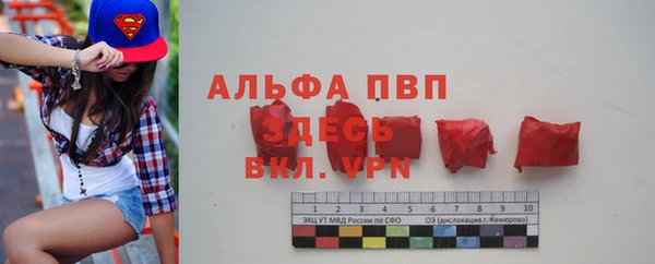 PSILOCYBIN Абаза