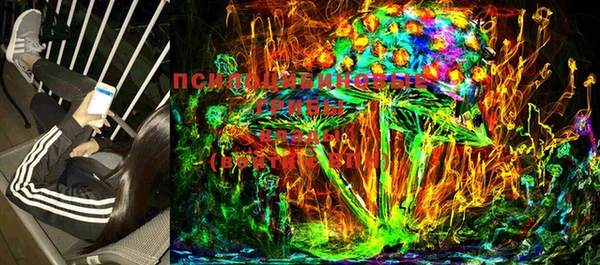 PSILOCYBIN Абаза