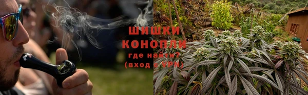 PSILOCYBIN Абаза