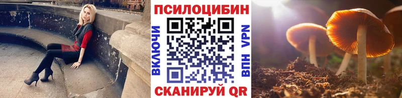 Псилоцибиновые грибы MAGIC MUSHROOMS  shop телеграм  Киржач  где купить  